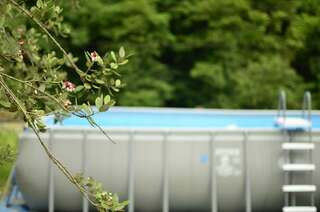 Отель ДжаНат Отель Сухум-1